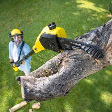 Organic Lawn Care Solutions in Crab Orchard, WV